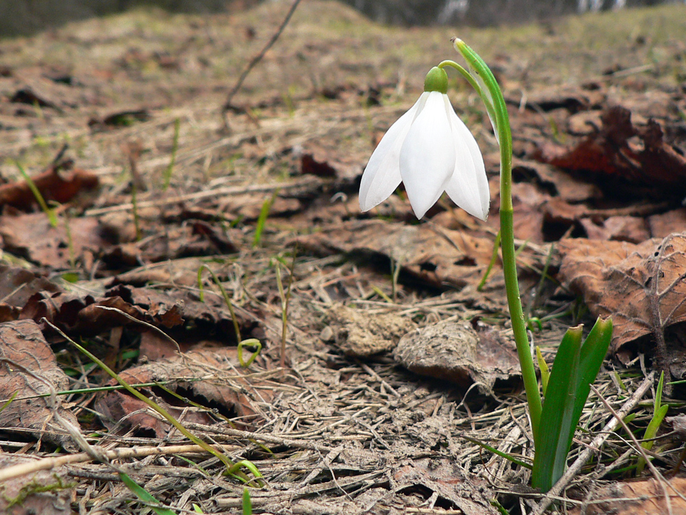 mala-magura-z-bojnic-do-cicmian