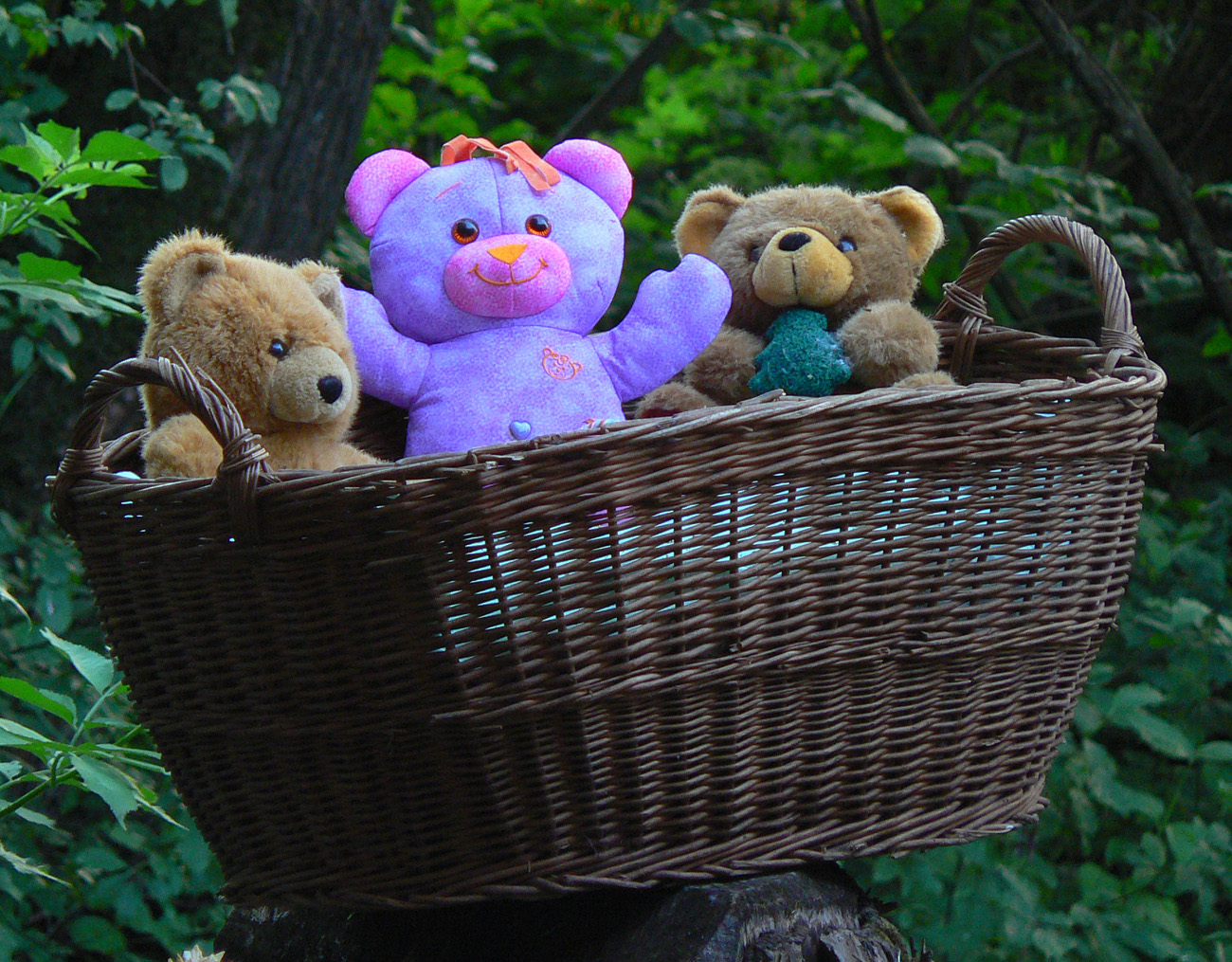 malofatranska-180-–-najnarocnejsie-ultra-na-slovensku