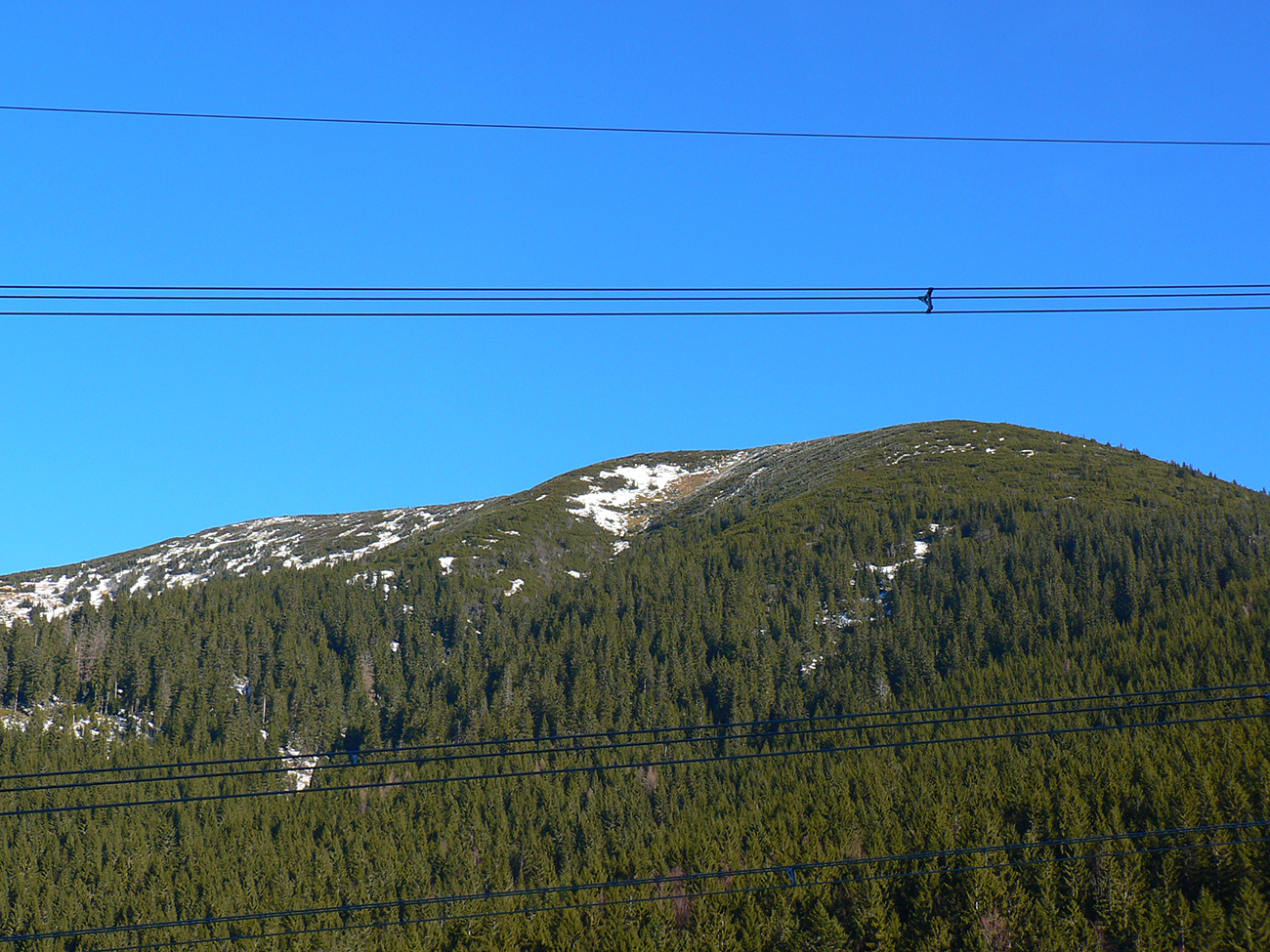 snehova-bieda-pod-prasivou