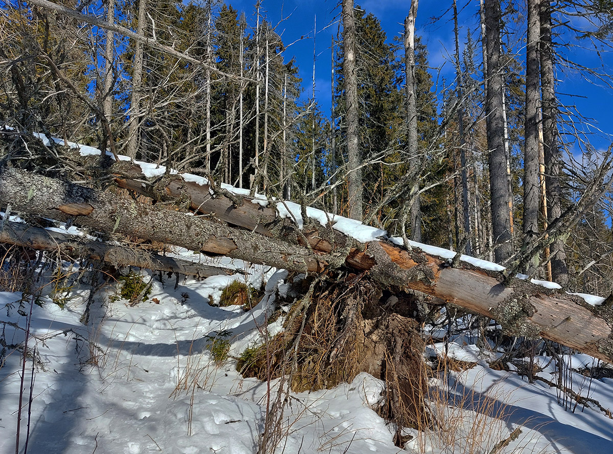 Potom_chodník_začína_kľučkovať_zaujímavými_zákutiami_:-)