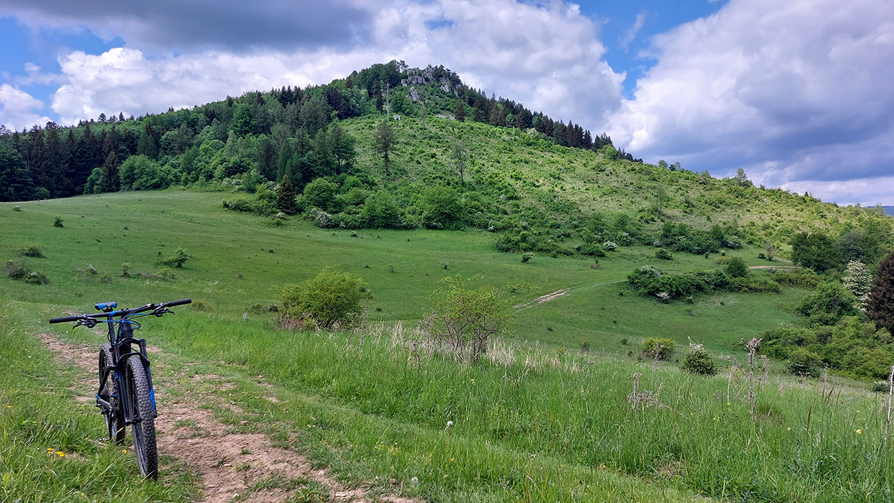 Spätný_pohľad_na_driapavé_kroviny_pod_Vyšehradom_a_tú_správnu_cestu_pod_nimi._