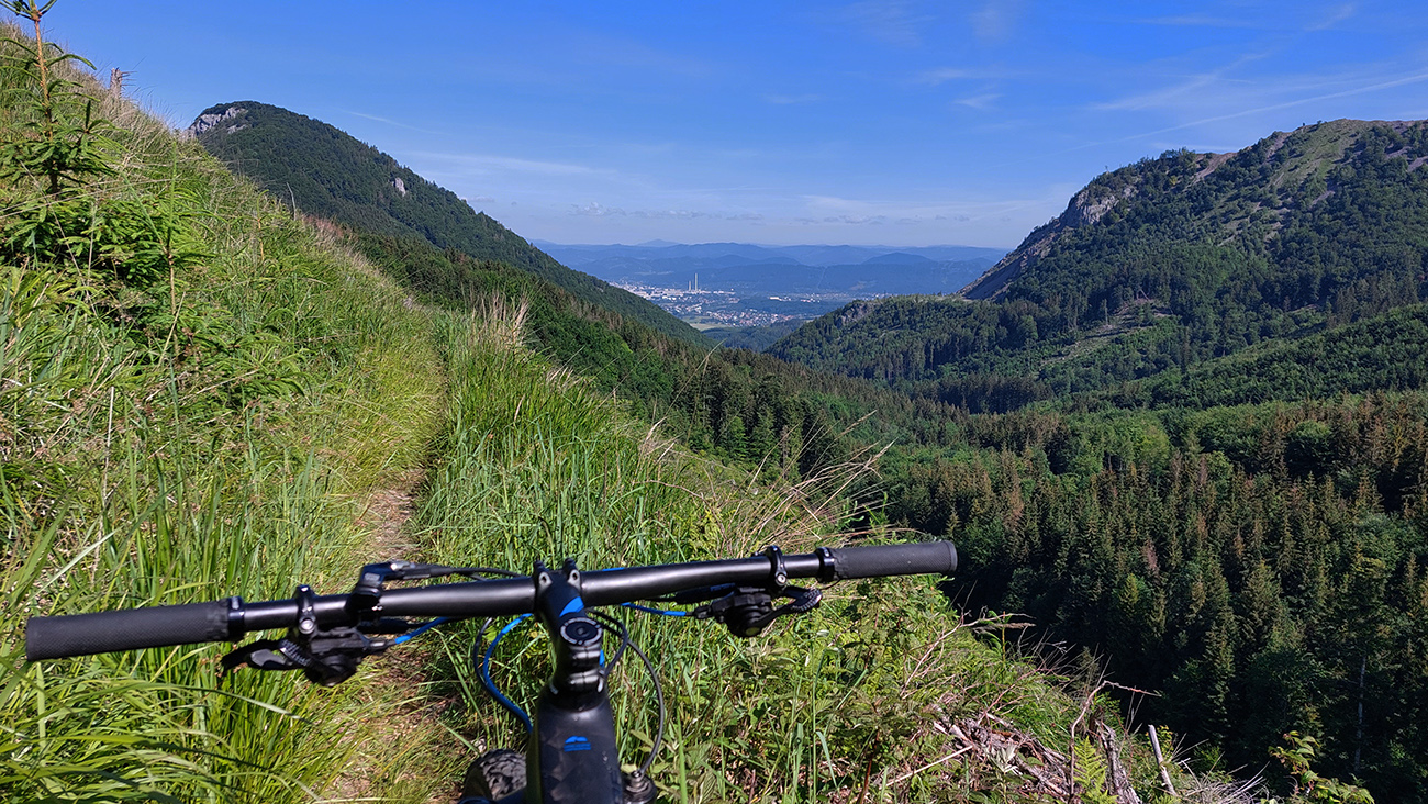 Zo_zvyškov_lesa_na_jedovatý_singlík_v_prudkom_svahu._Vzadu_ZA_medzi_Hoblíkom_a_Polomom.
