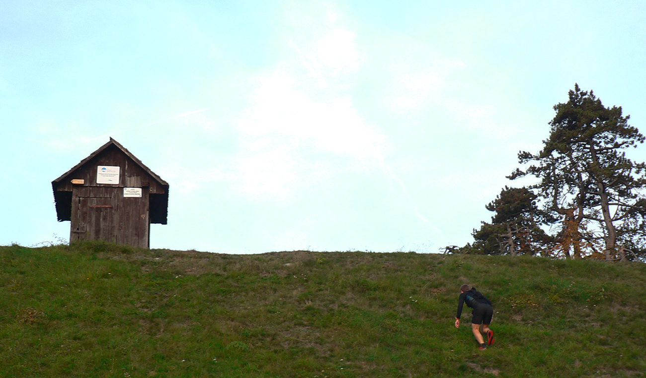 Keď netrafíš správny chodník, ale aj ten nesprávny ťa dovedie (takmer) kam potrebuješ. Keď_netrafíš_správny_chodník,_ale_aj_ten_nesprávny_ťa_dovedie_(takmer)_kam_potrebuješ.