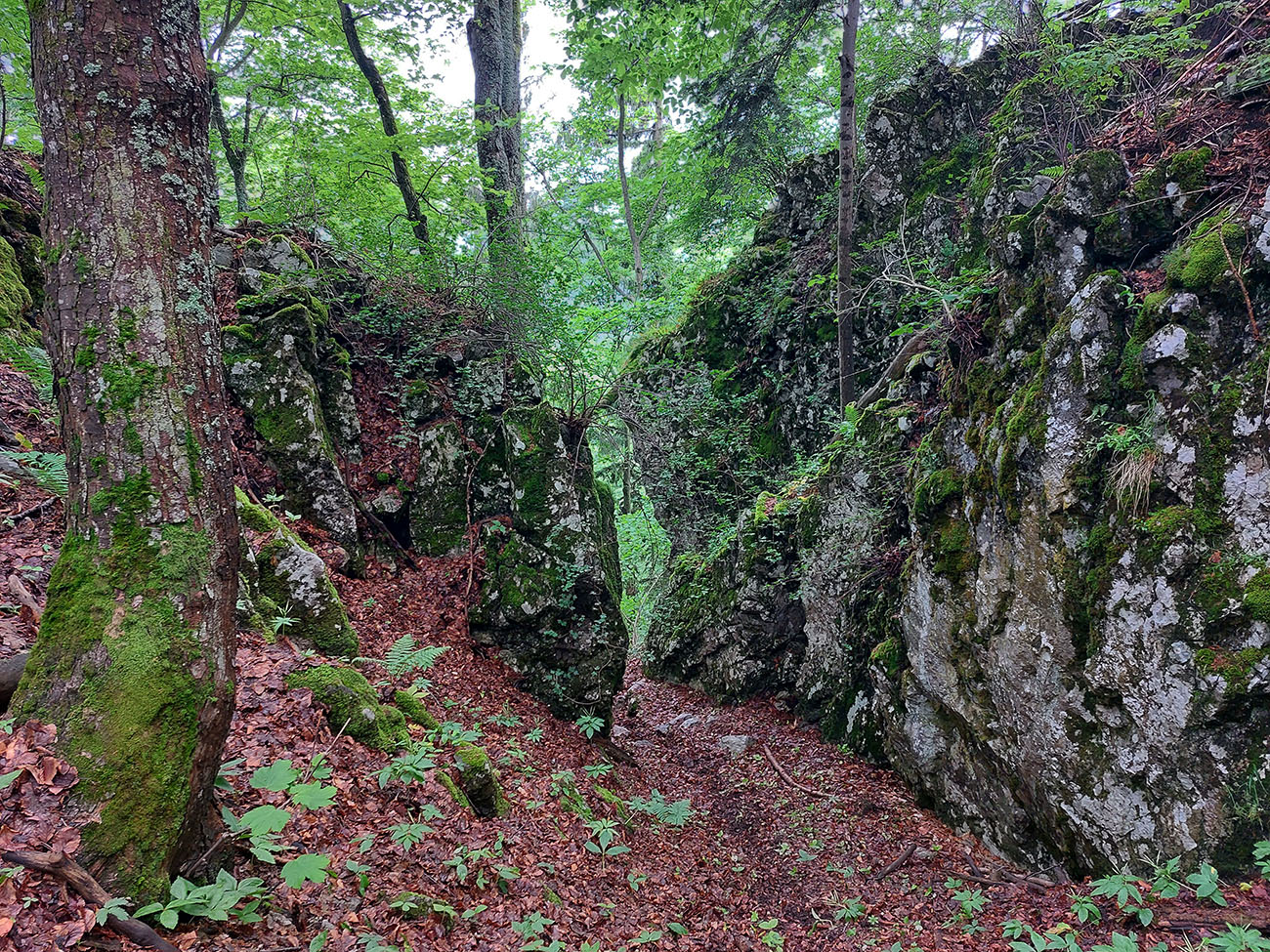 Zlatý klinec programu pod Rúbaňou. Zlatý_klinec_programu_pod_Rúbaňou.