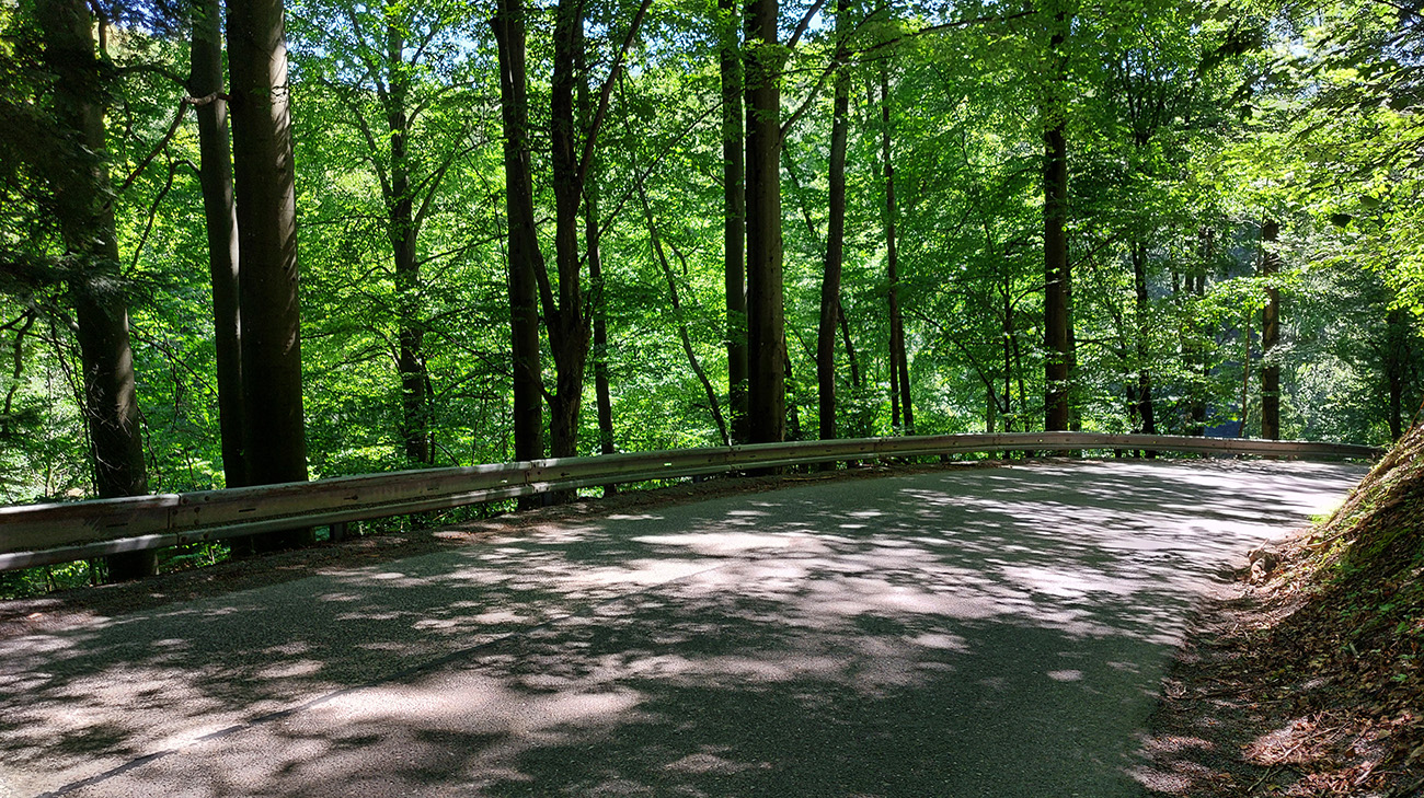 Hra svetla a tieňa na ceste trochu znepríjemňovala zjazd do Hodruše. Hra_svetla_a_tieňa_na_ceste_trochu_znepríjemňovala_zjazd_do_Hodruše.