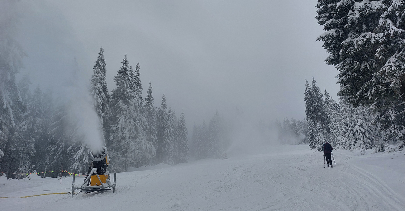 Smerom_hore_vpravo,_vľavo_zlostné_hady_syčia._