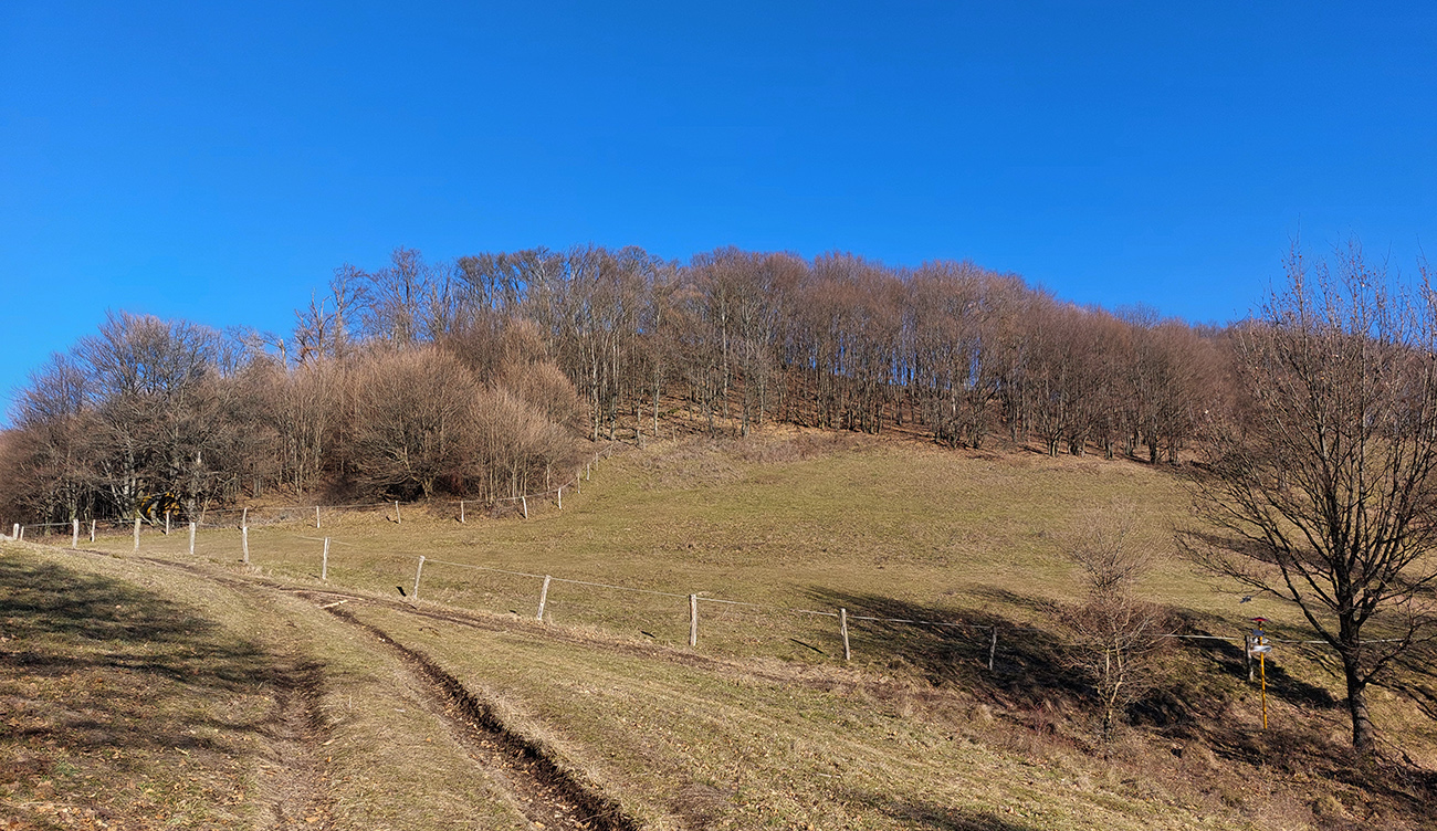 Súdenica:_modrá_doprava_popri_smerovníku,_opúšťam_ju_doľava_po_žltej.