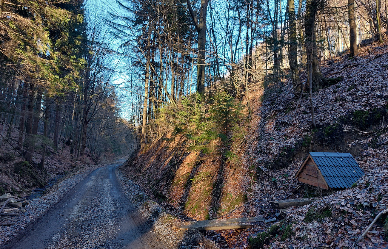 Dlho_dole_dolinou_Suchá_Voznica,_cestou_tento_fajný_prameň.