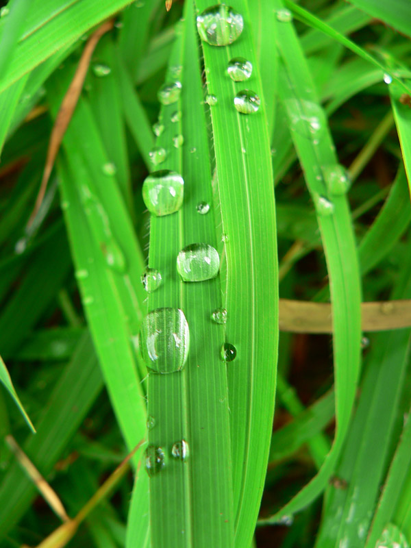 lucenec-je-aj-v-turci