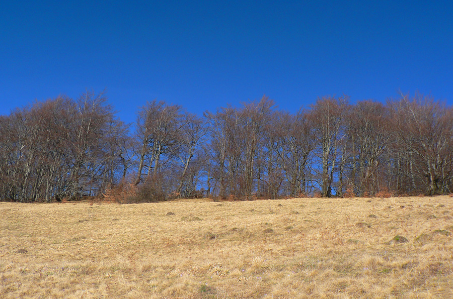 paradna-skratka-zo-sucianskeho-hradu-na-velkofatransky-klak